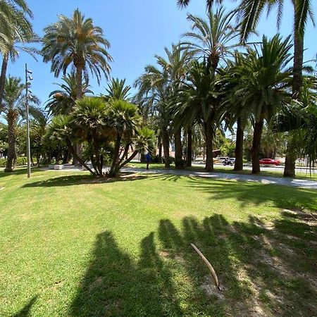 Ferienwohnung Tropical Loft Alicante Exterior foto